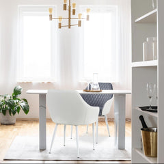 Lot de 2 chaises Louisa gris et blanc