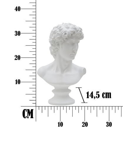 Escultura de cabeza de hombre de poliresina blanca