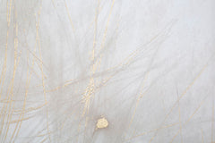 Impression sur toile cadre en bois design floral couleurs pastel décorations dorées