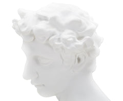 Sculpture tête masculine Renaissance Florentine Blanc