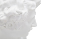 Sculpture tête masculine Renaissance Florentine Blanc