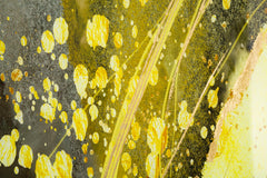 Panneau mural décoratif Sunny Verre avec cadre métal doré