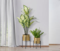 Porte-vase Glissy métal doré socle noir set de 2 pièces