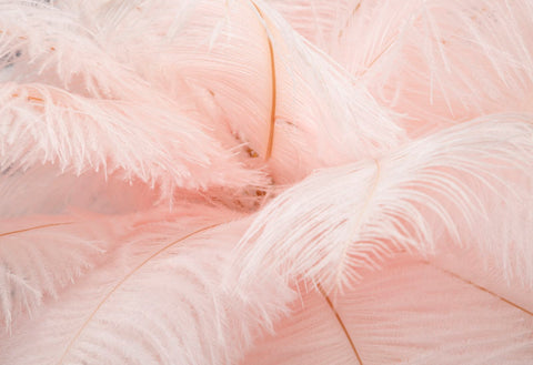 Lampe de table Palm métal doré abat-jour plumes roses