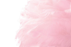 Lampe sur pied Slim Métal Doré abat-jour Plumes Rose