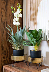 Ensemble supports de vase 2 pcs métal doré et noir