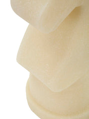 Cheval teintes claires