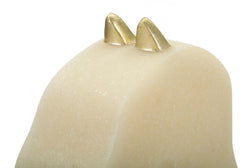 Cheval teintes claires