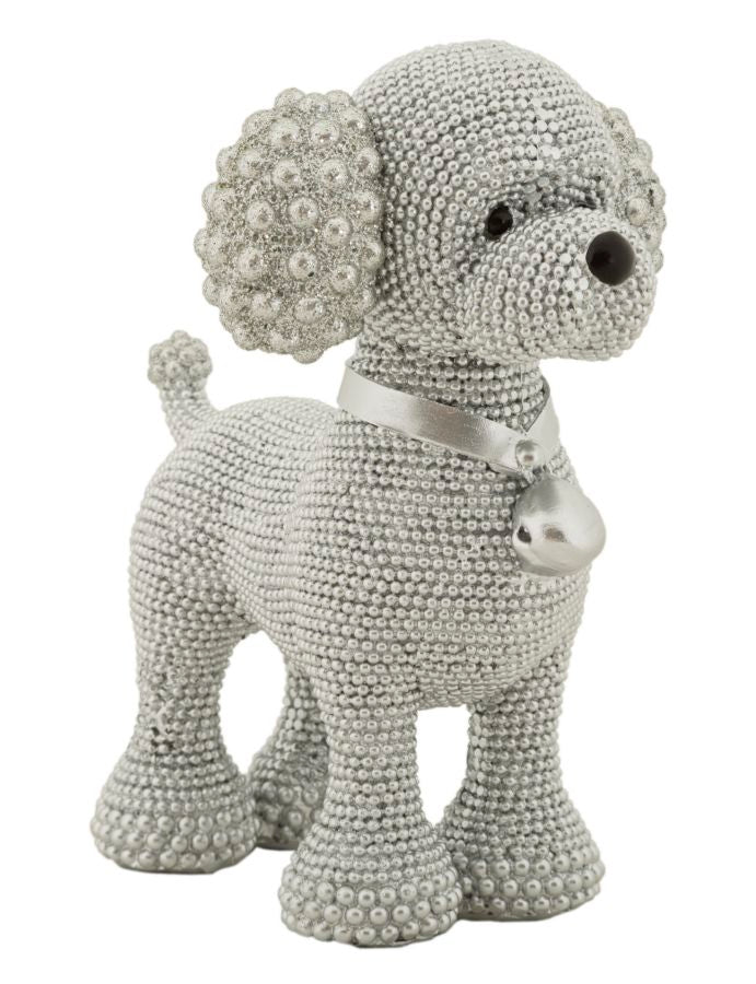 Caniche Plata