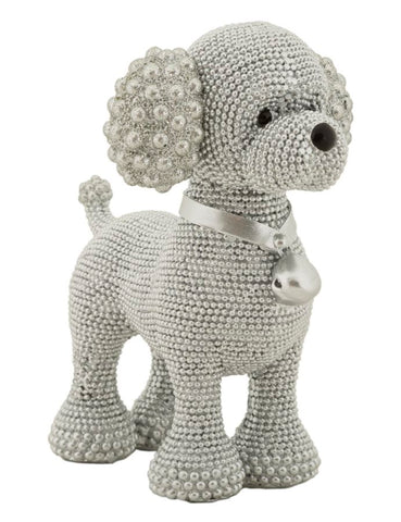 Caniche Plata