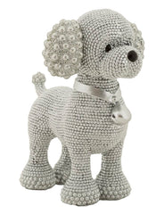 Chien Caniche Argenté