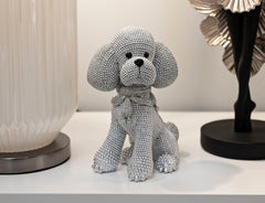 Chien Caniche Argenté