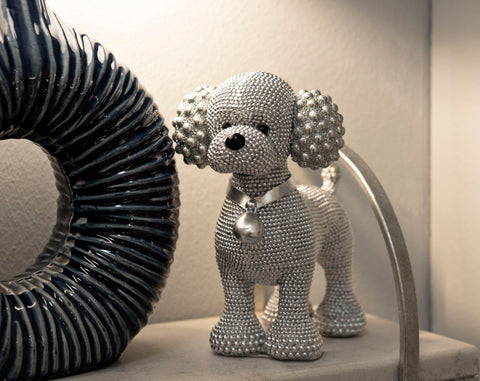 Caniche Plata