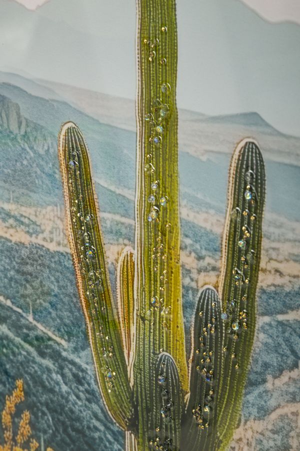 LACQUERED CANVAS PRINT WITH FRAME CACTUS -W- CM 60X4X90_x000D_
