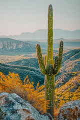 LACQUERED CANVAS PRINT WITH FRAME CACTUS -W- CM 60X4X90_x000D_

