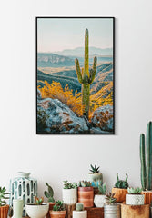 LACQUERED CANVAS PRINT WITH FRAME CACTUS -W- CM 60X4X90_x000D_
