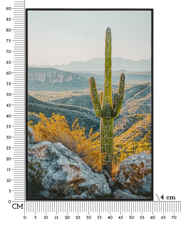 LACQUERED CANVAS PRINT WITH FRAME CACTUS -W- CM 60X4X90_x000D_
