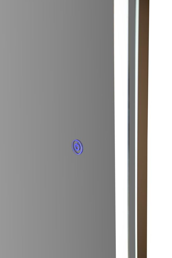 Oval Wall Mirror with 3-Color LED Lighting, 50 x 160 cm