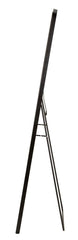 Rectangular Floor/Wall Mirror with LED Lighting 70x170 cm